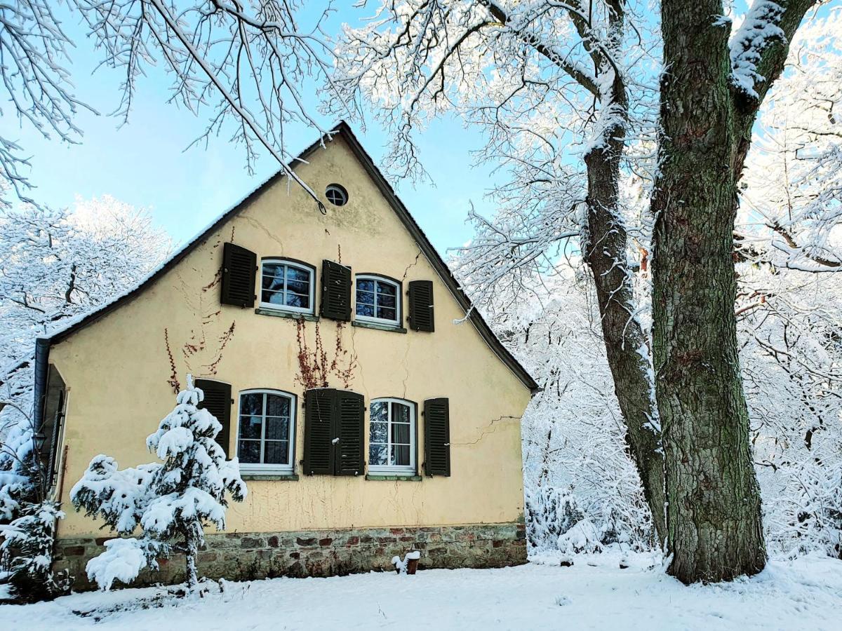 Jagdschloss Hotel Niederwald ฮูเดสไฮม์ แอม ไฮน์ ภายนอก รูปภาพ