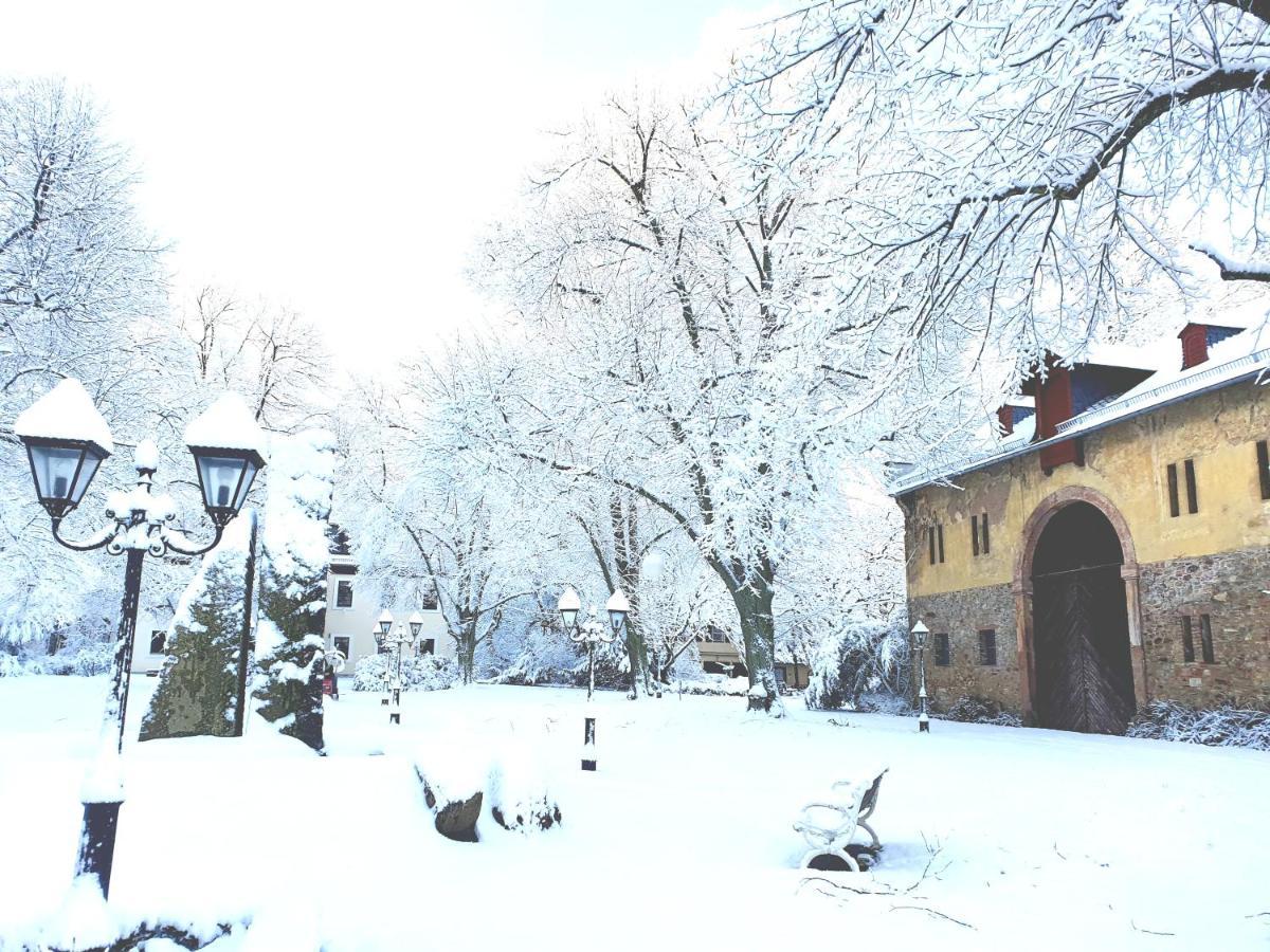 Jagdschloss Hotel Niederwald ฮูเดสไฮม์ แอม ไฮน์ ภายนอก รูปภาพ